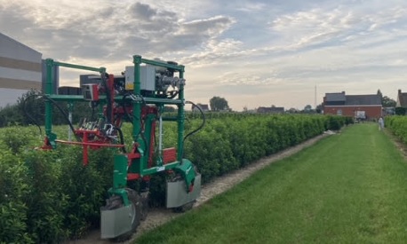 steekmachine taxus kweker west-vlaanderen